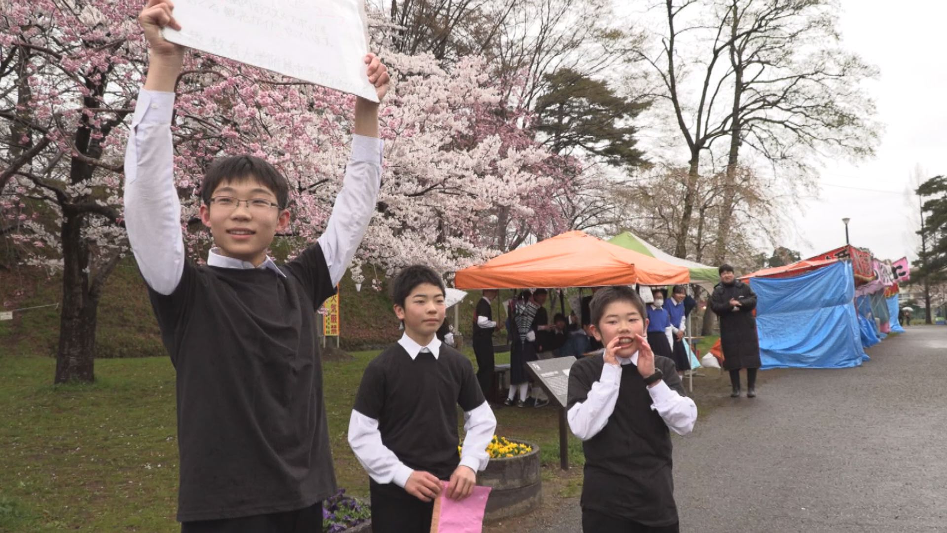 上教大附属中「観桜会おもてなしプロジェクト」桜の心でおもてなし！