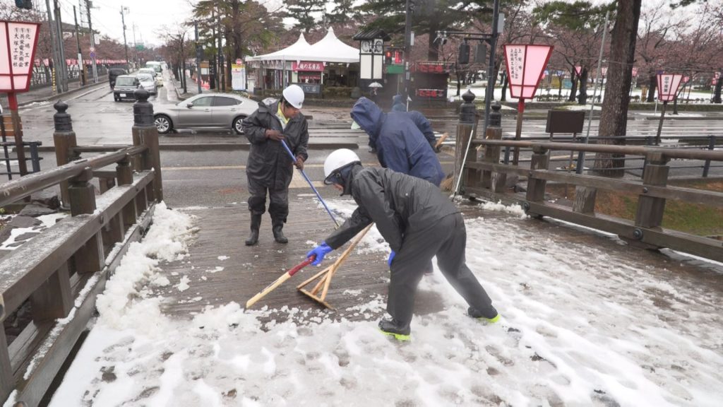 190403_観桜会３日目 公園は雪で白く