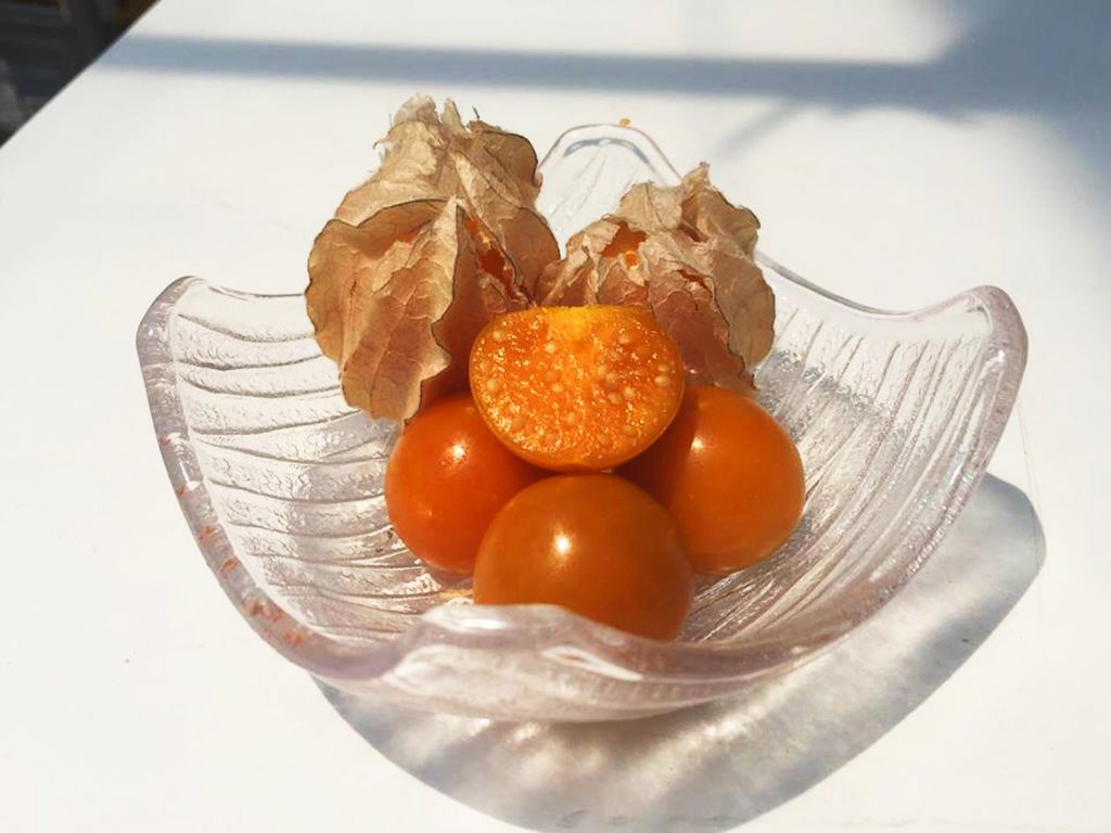 生ほおずき