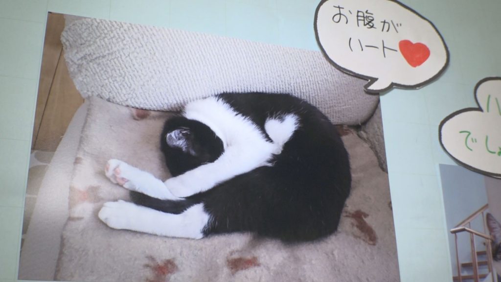 看護の日