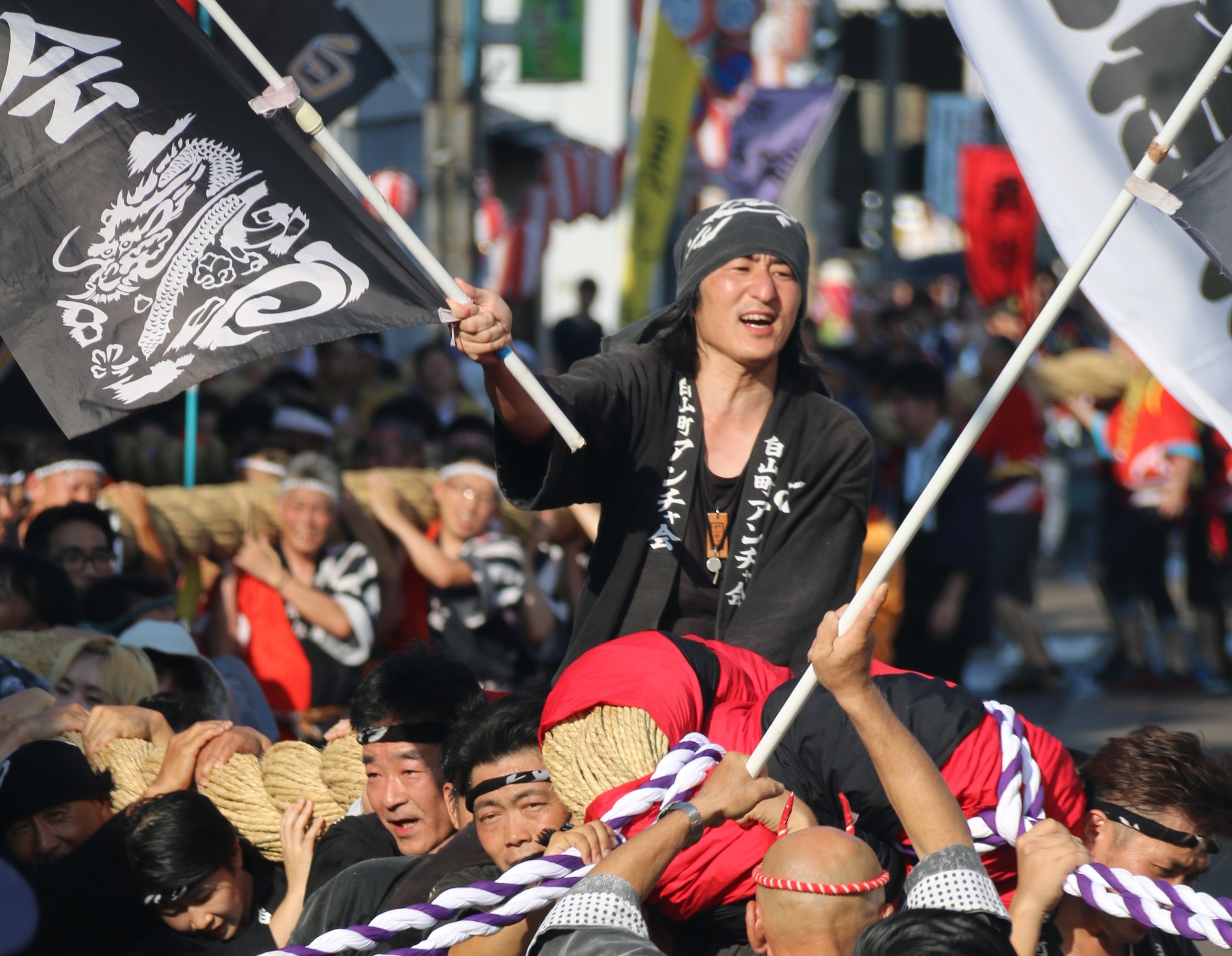 第46回あらいまつり 参加者募集中！大綱担ぎ手 民謡流し……