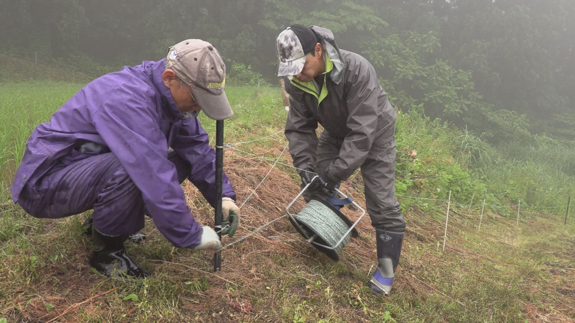 ありがとうがうれしい！柿崎区で中山間地域支え隊活動