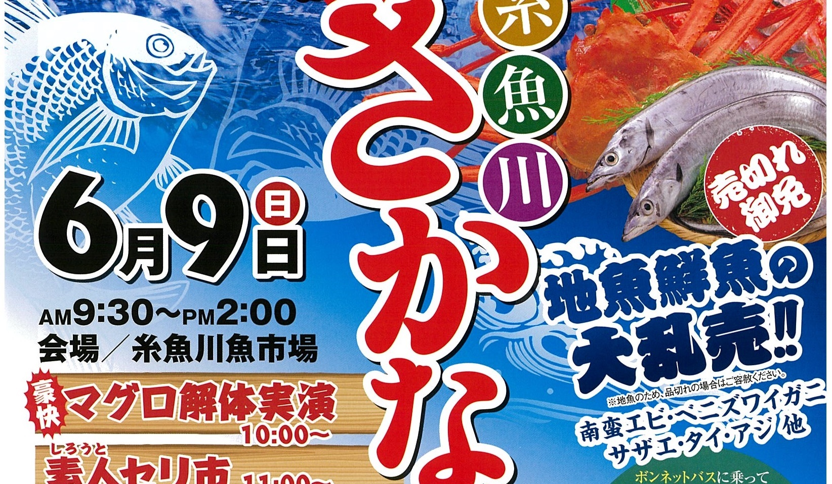 地魚鮮魚 大売出し！糸魚川さかな祭り あす9日（日）