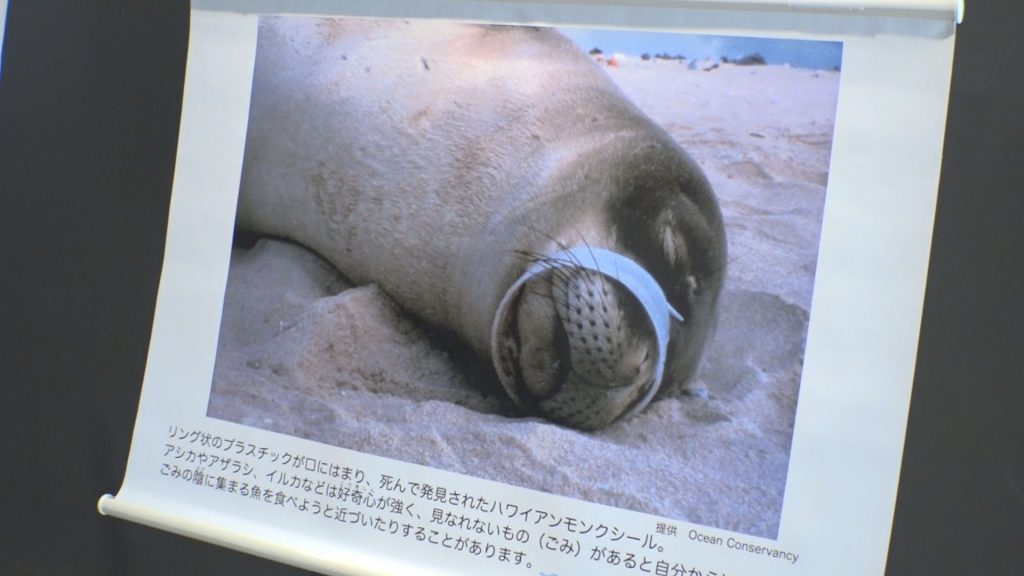 うみのごみ3