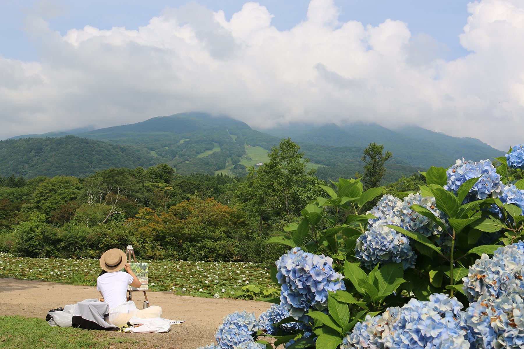 大自然のなかで創作活動！「妙高夏の芸術学校」受講生募集