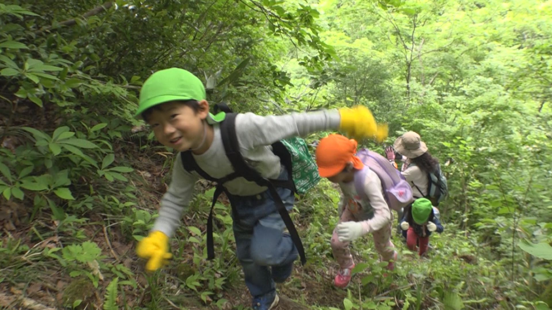 うなる健脚！妙高保育園児が標高945ｍの藤巻山登山