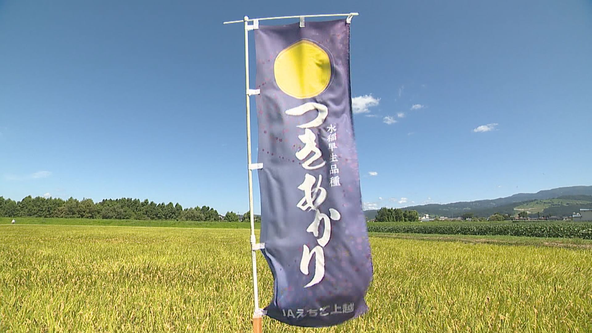 ＪＡえちご上越 つきあかり栽培拡大へ研究会