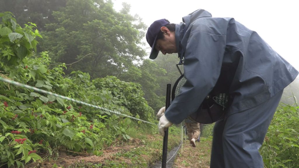 190611_中山間地域支え隊イノシシ電気柵5
