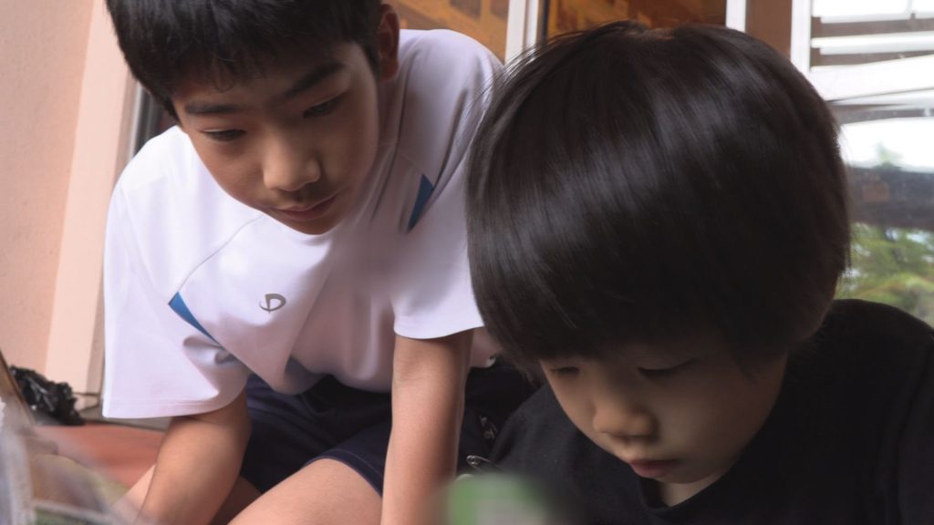 190617_附属中生徒園児とふれあい体験5