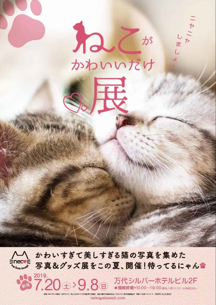 ねこがかわいいだけ展_ページ_1
