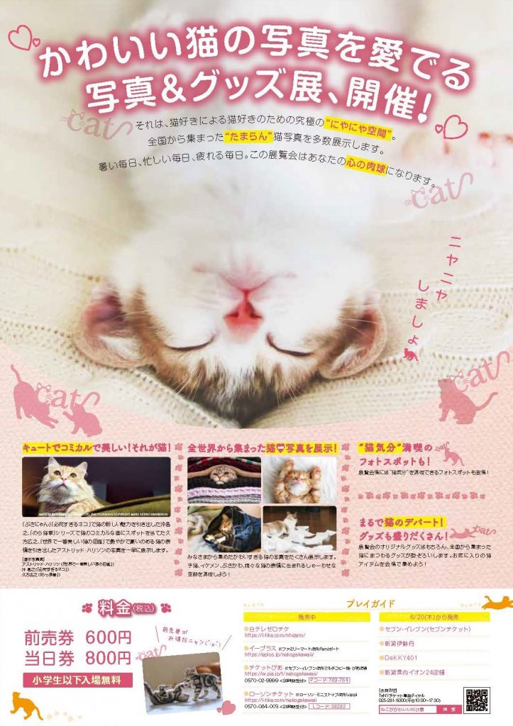 ねこがかわいいだけ展_ページ_2