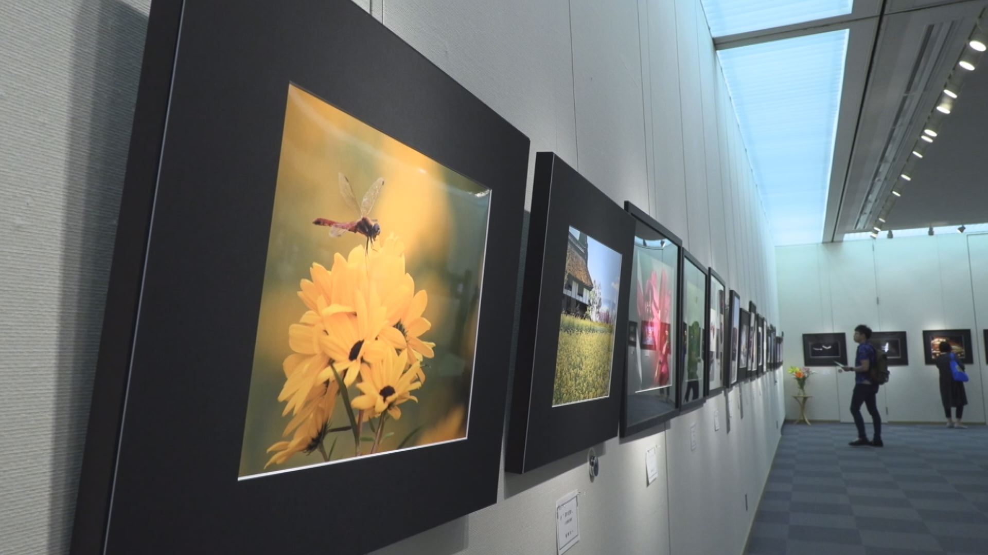 テーマは「花」！上越写真愛好会写真展　