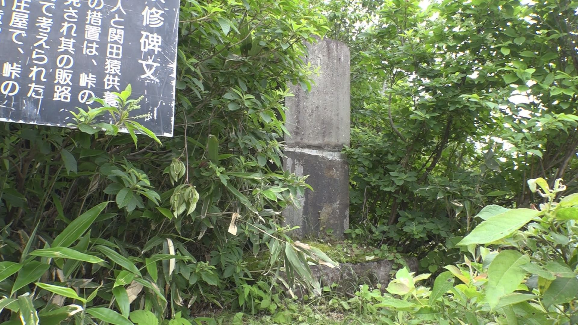 Still0718_00002