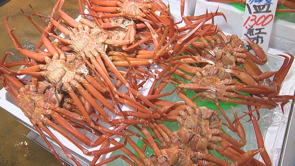 魚勢 (4)