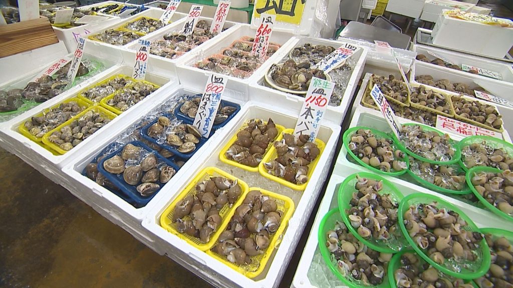 魚勢 (6)