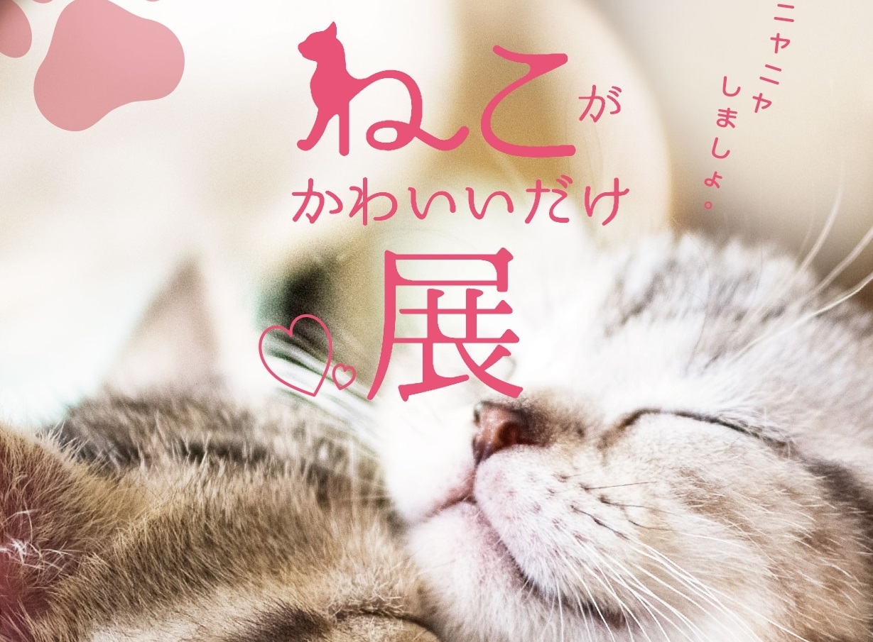 夏休みプレゼント企画第一弾！ねこがかわいいだけ展 無料招待券