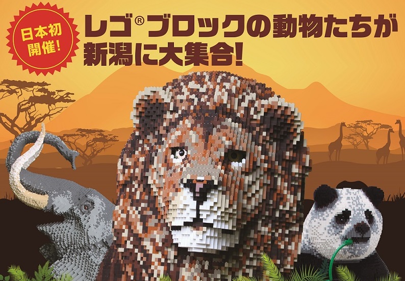 夏休みプレゼント企画第二弾！ブリックライブ無料招待券