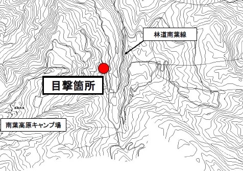 クマの目撃情報[上越市]