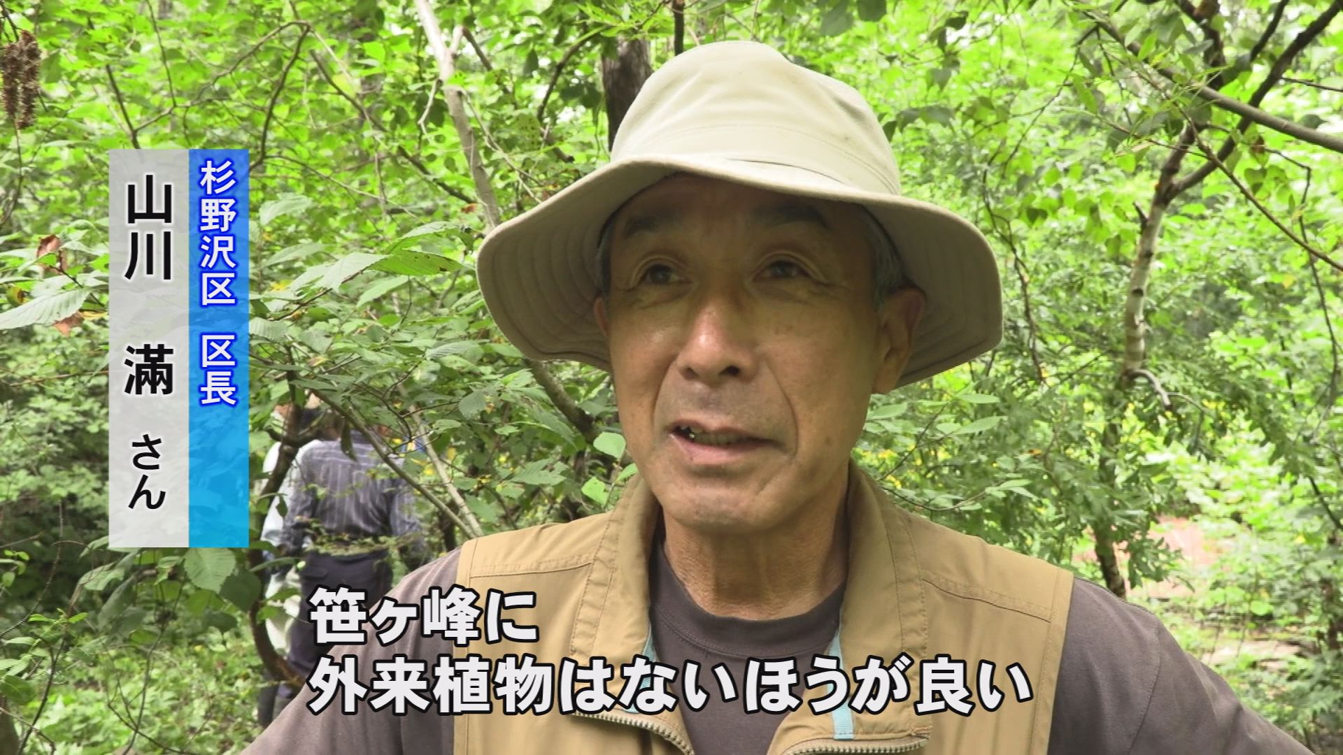 190821_オオハンゴンソウ駆除4