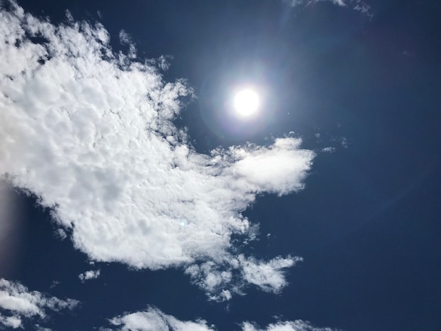 観測史上初上越市高田40.3℃  熱中症に厳重警戒を！