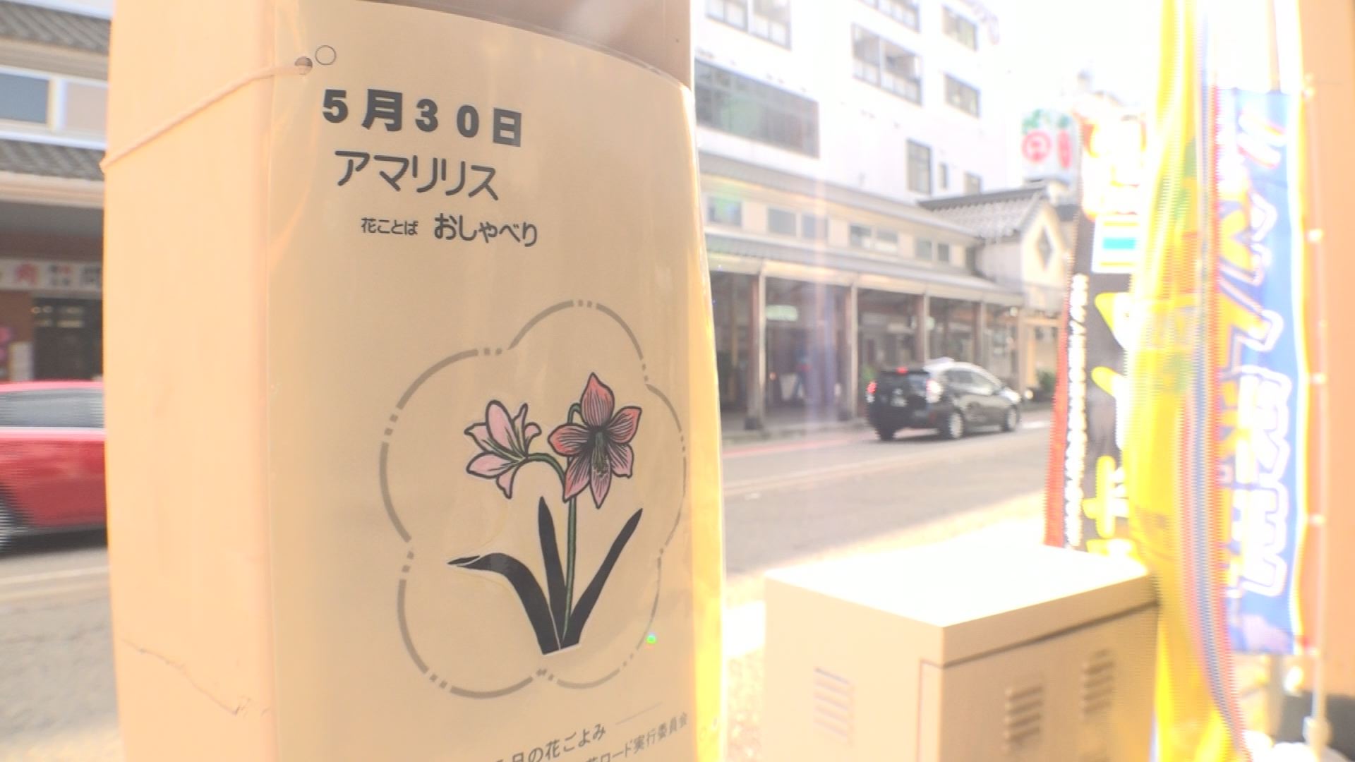 本町商店街であなたの「誕生花」探してみよう