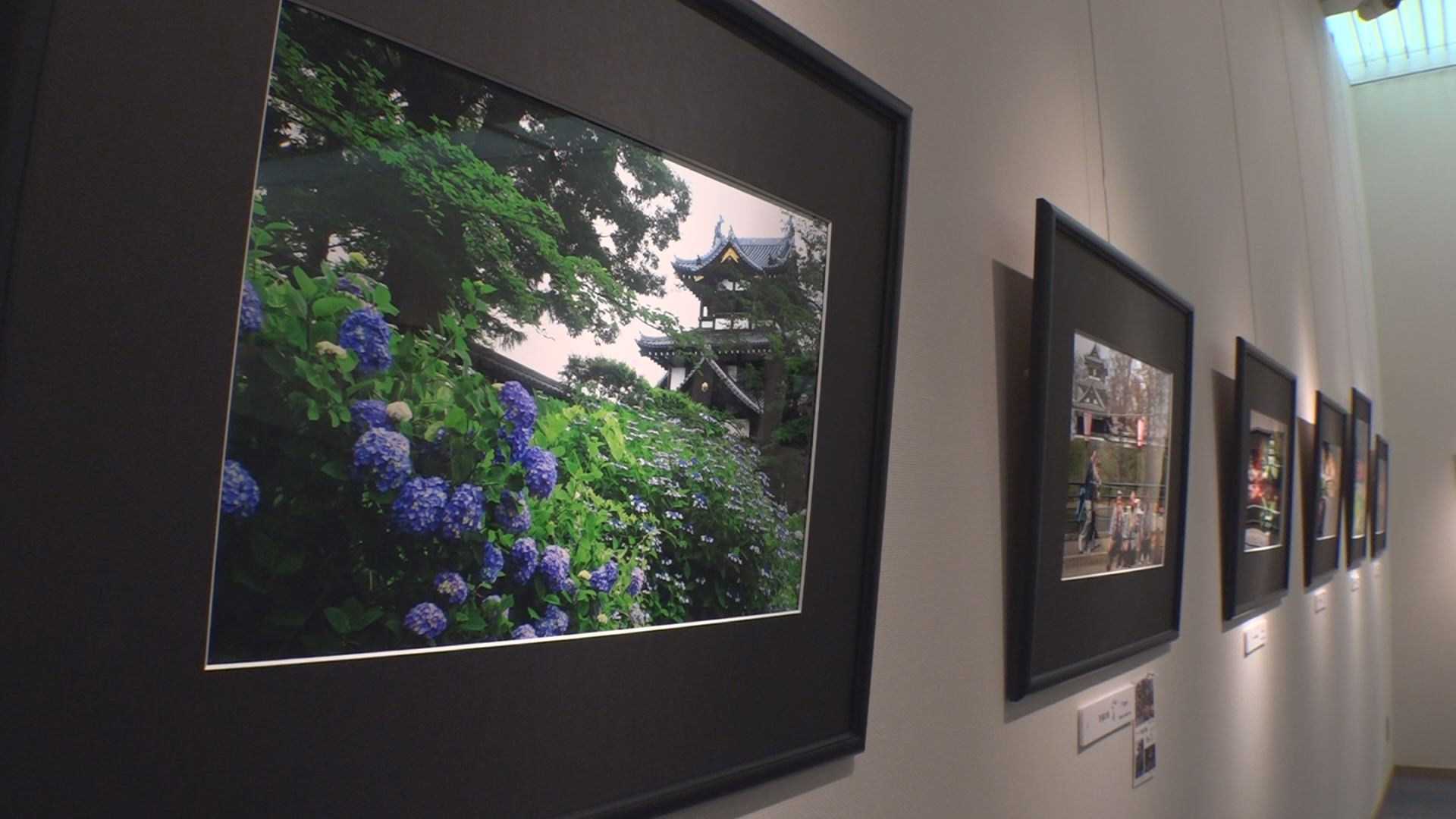高田公園のベストショット！「Ｆ6写真展」16日（月）まで