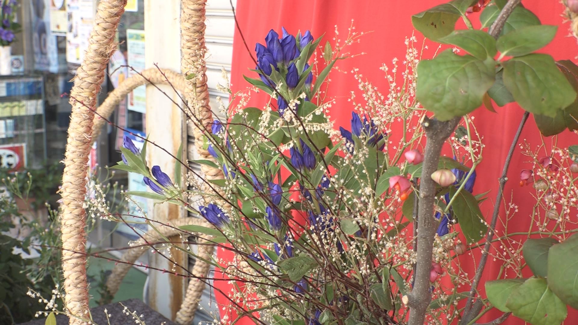 秋の風物詩「たかだ花ロード」始まる 23日まで