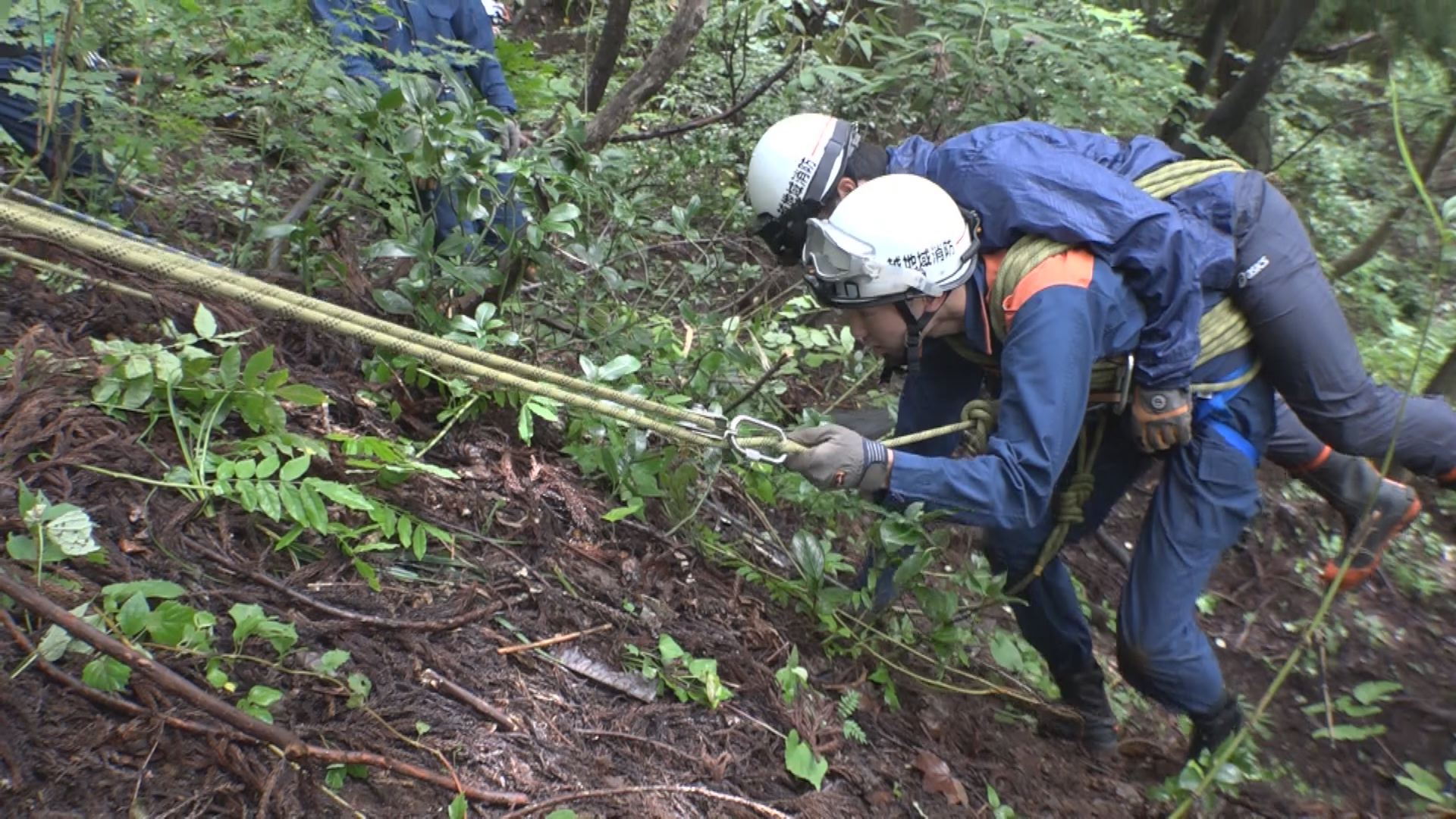 秋の行楽シーズン前に 米山で山岳救助訓練