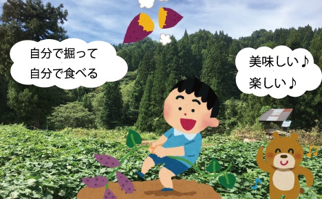 食欲の秋！おおかやば山菜園 さつまいも掘り体験 10月5日～