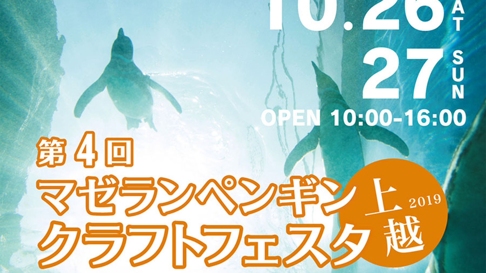日本で唯一！マゼランペンギンがテーマ「マゼフェス」10月26日（土）27日（日）