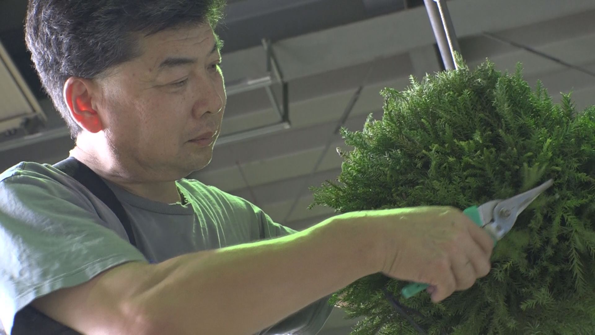 新酒の季節！武蔵野酒造で杉玉作り