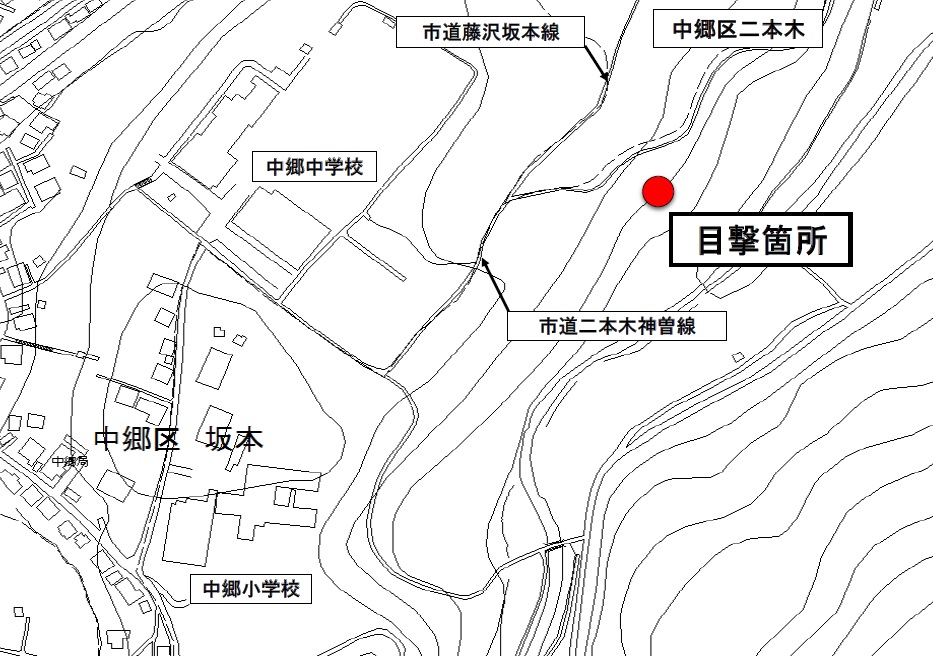 クマの目撃情報[上越市]