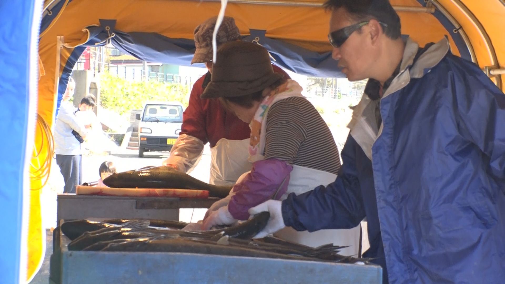 191113_サケの採卵