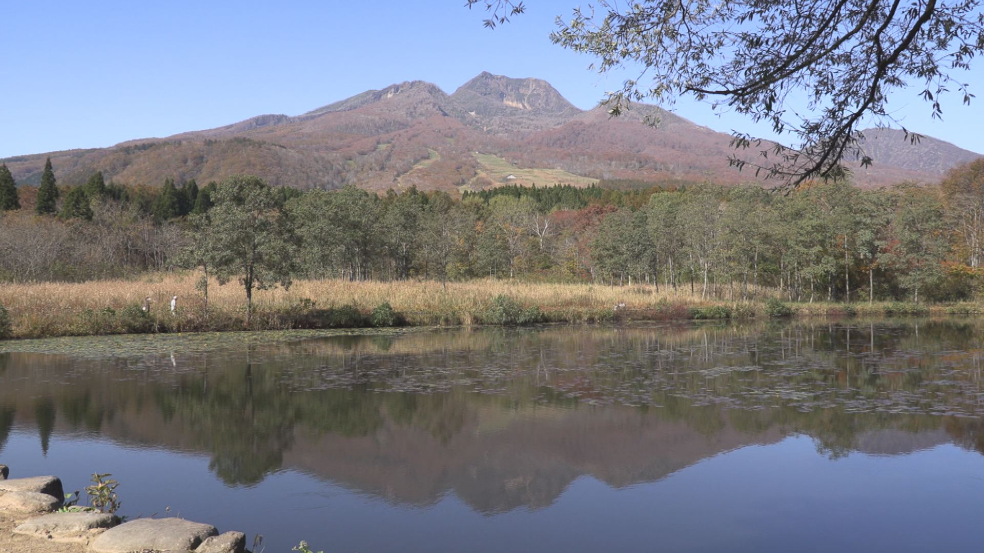 いもり池で逆さ妙高！紅葉見ごろに