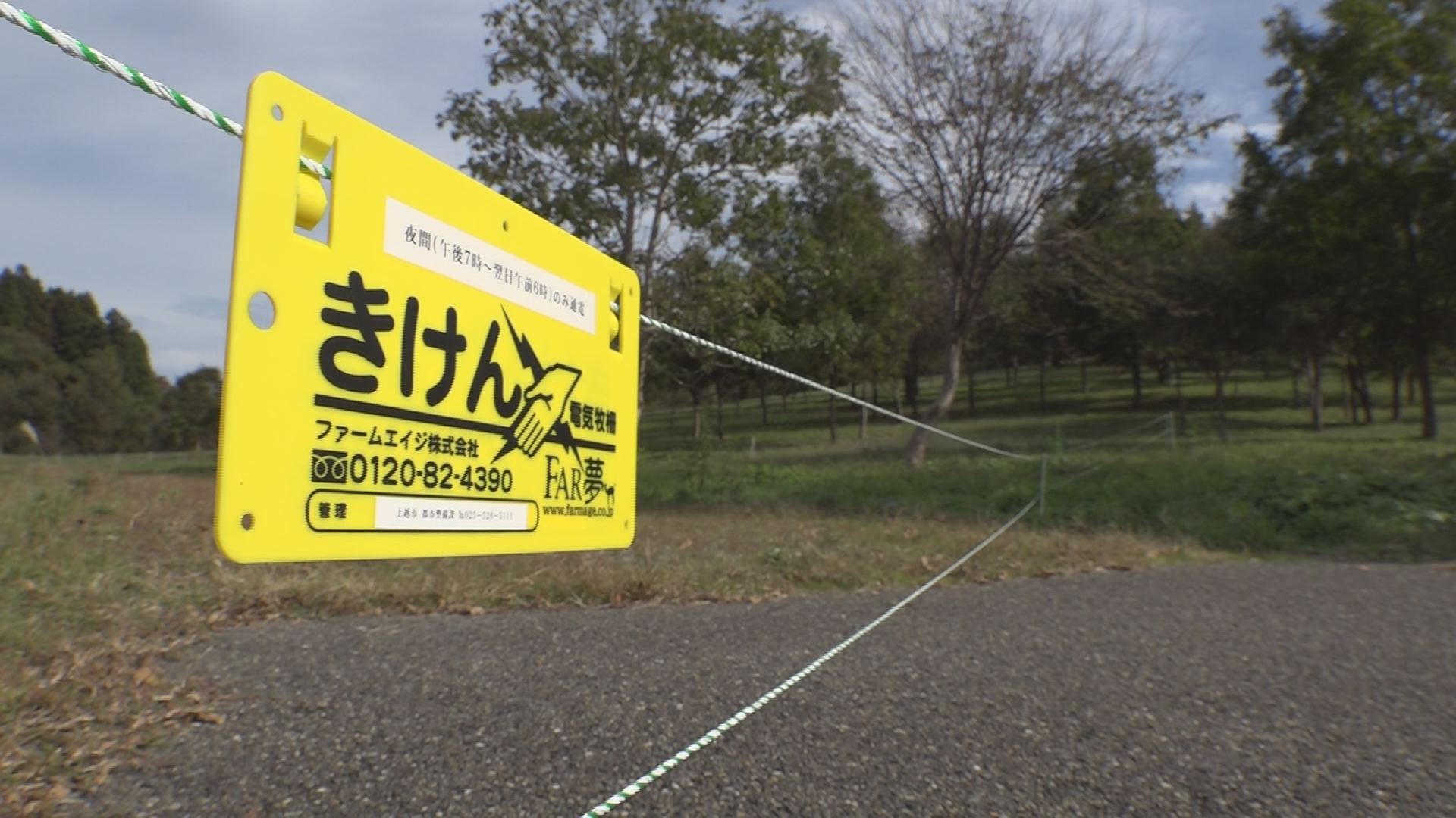 たにはま公園夜間立入規制 イノシシ対策に電気柵