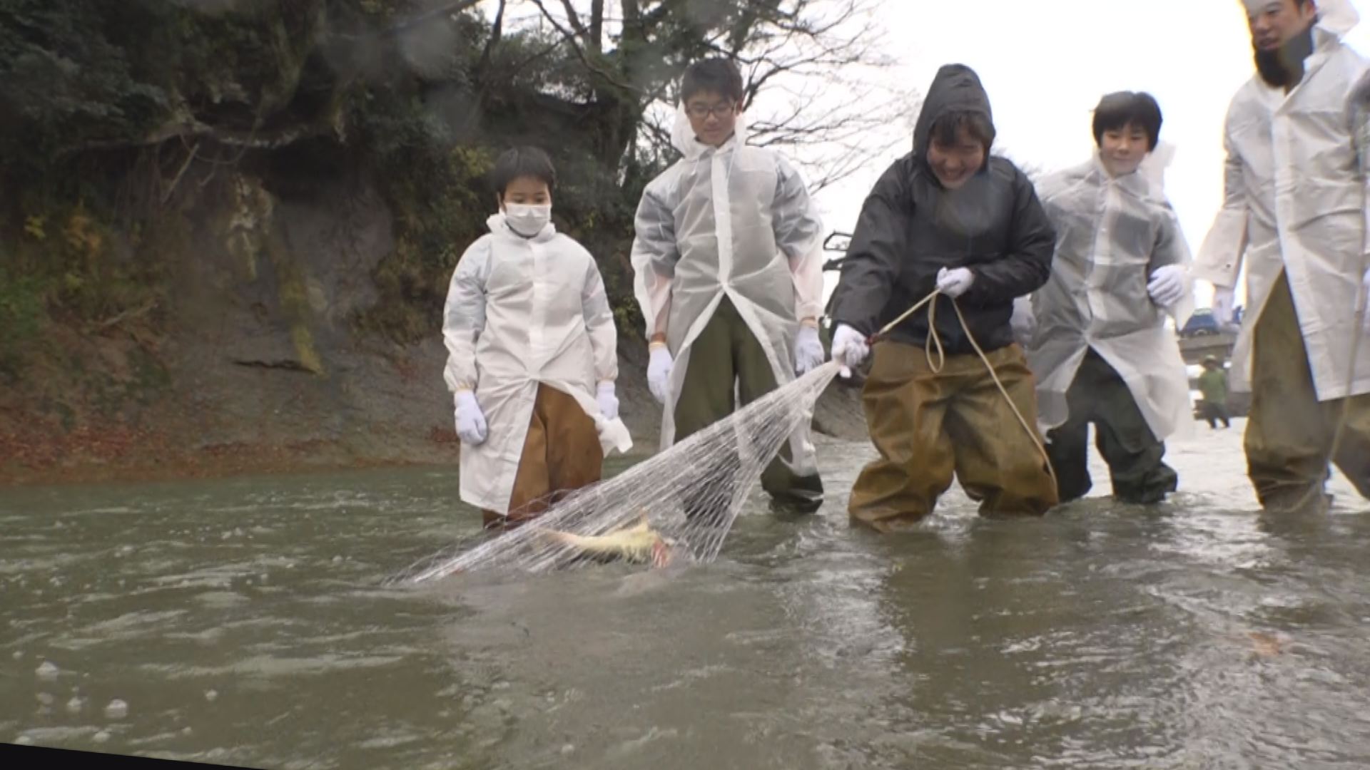 潮陵中全校生徒　投網でサケの捕獲体験！