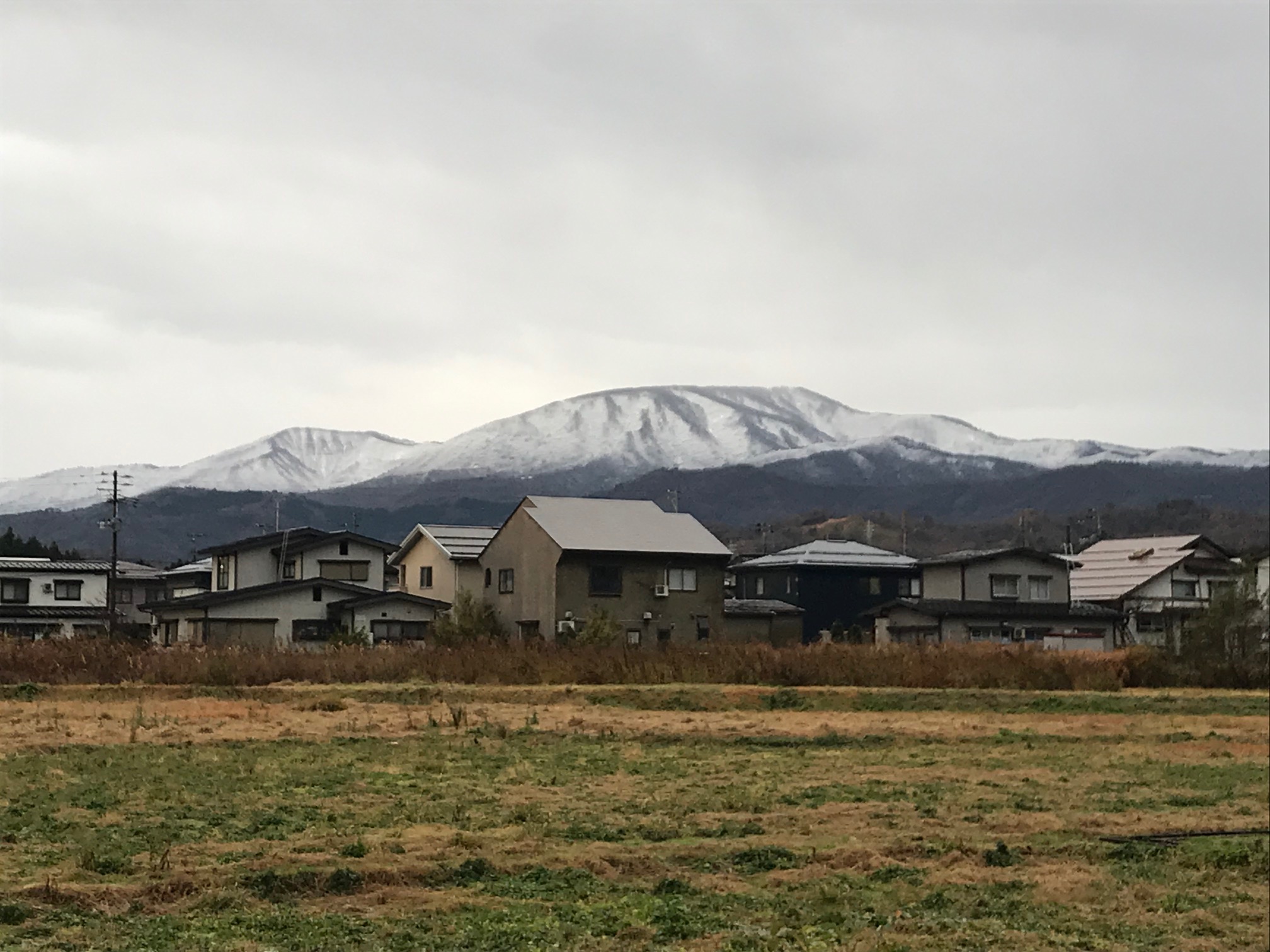 冬型の気圧配置  南葉山も雪化粧