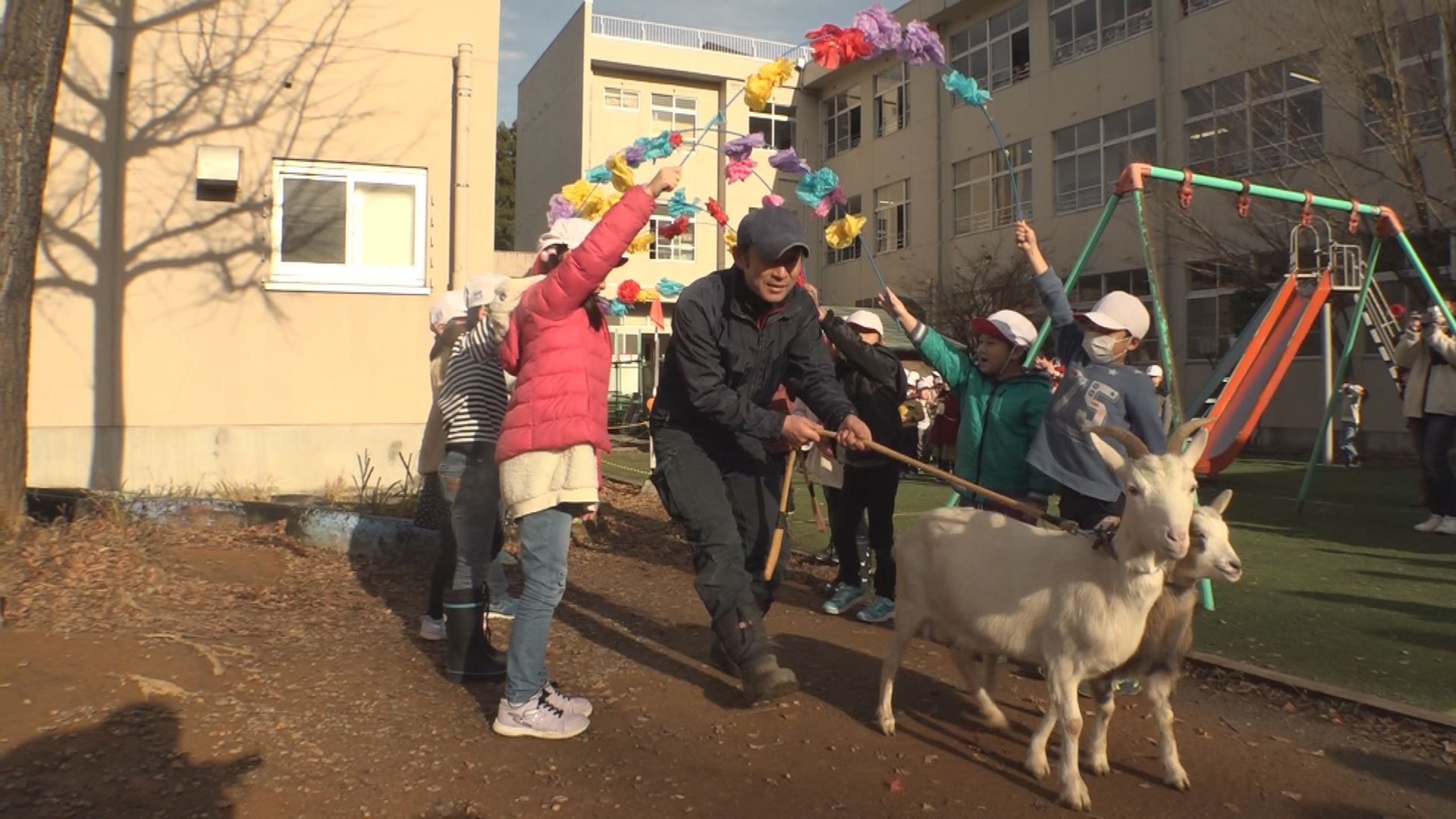 ずっと友達だよ♪飯小学校で親子ヤギの卒業式