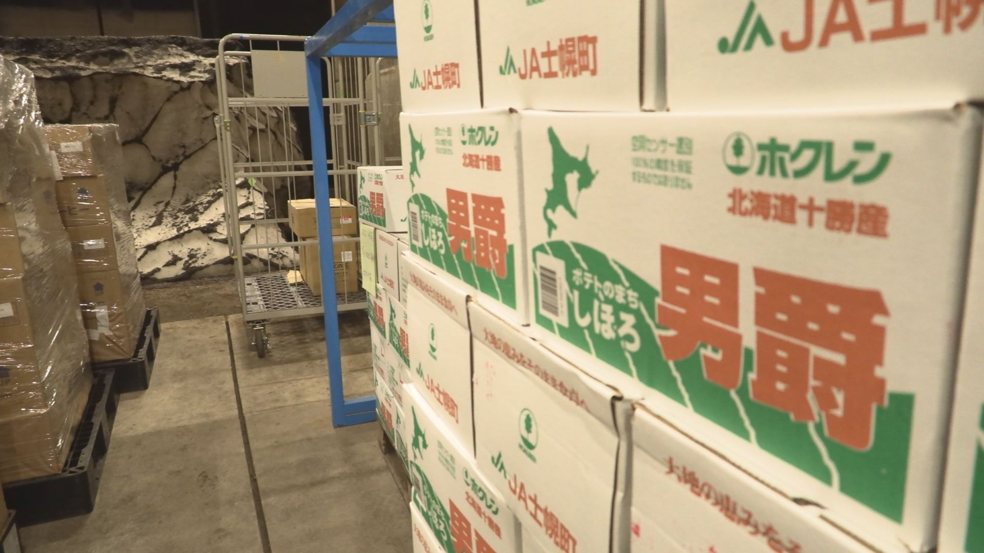 雪がない…雪室野菜や雪室商品への影響は