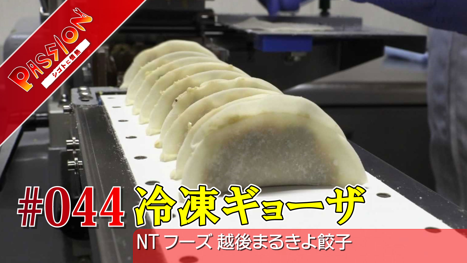 【動画】肉汁がジュワ～！おいしさと笑顔届ける「越後まるきよ餃子」