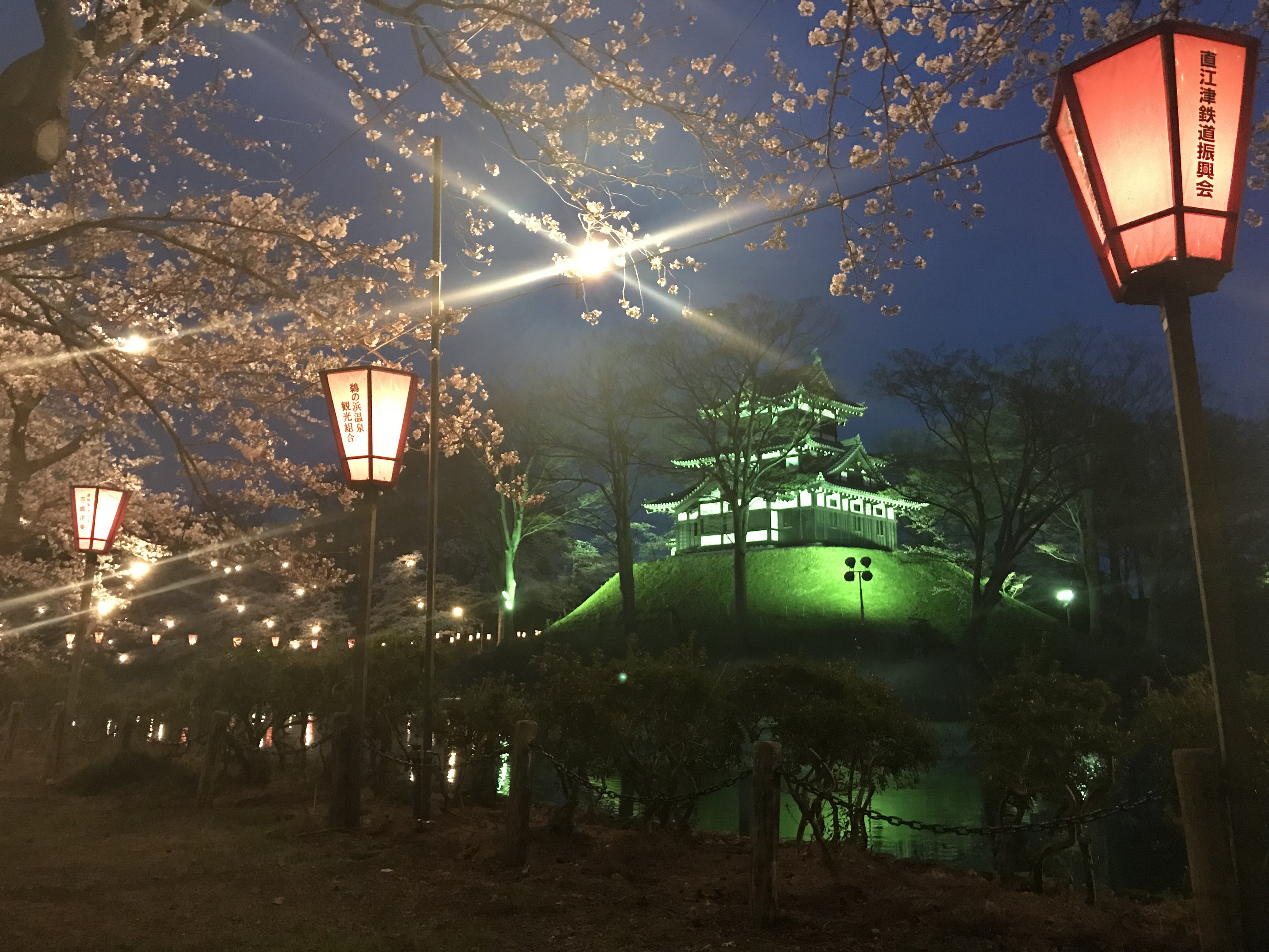 【速報】「高田城址公園 観桜会」各種イベント中止  ぼんぼりの点灯などは実施