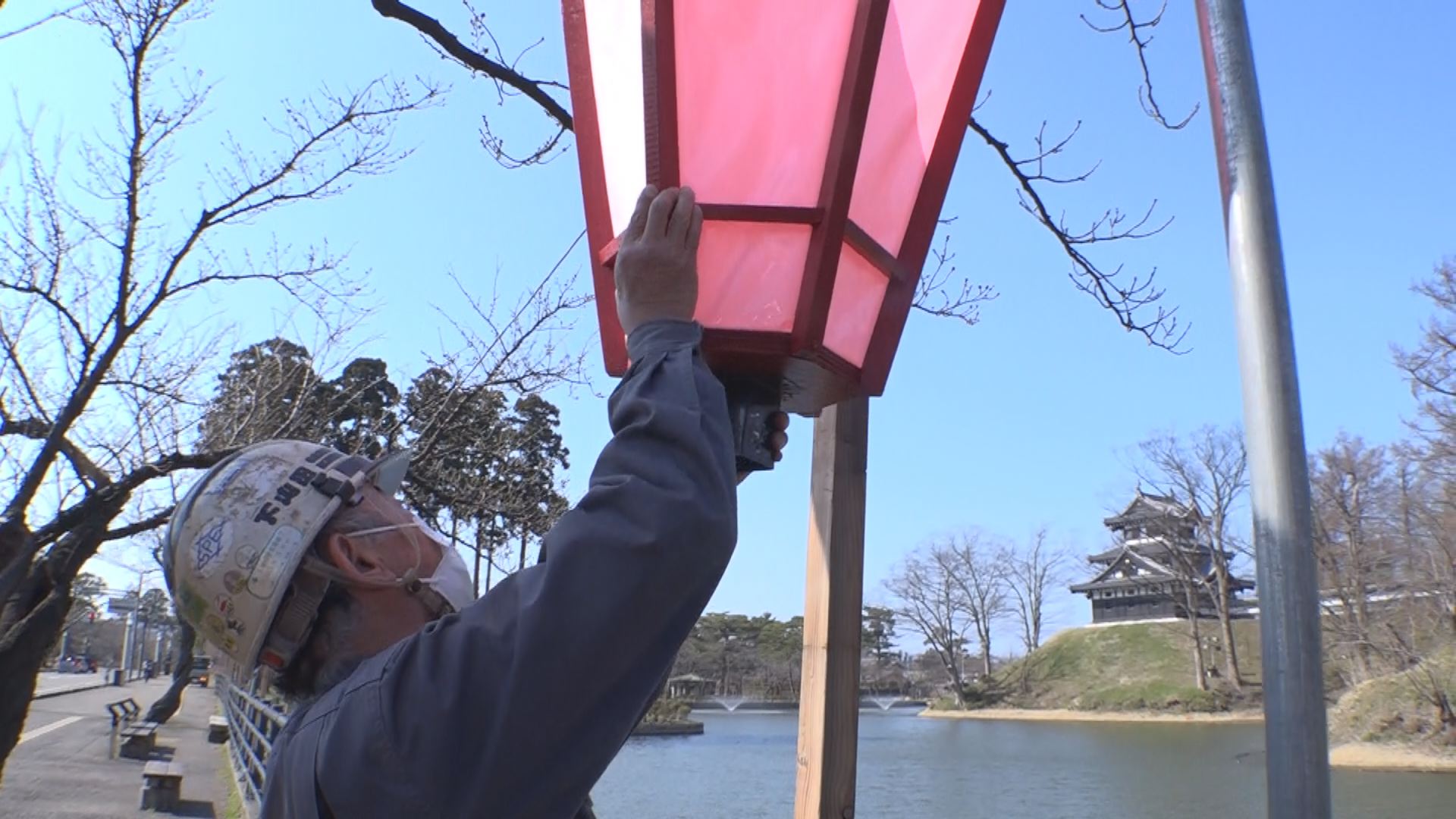 高田公園 ぼんぼり設置はじまる