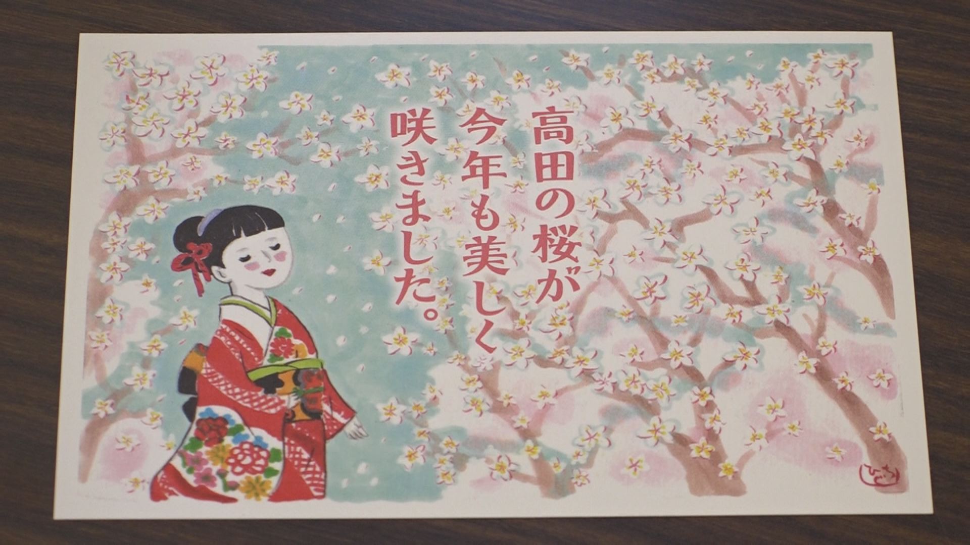 高田の桜がテーマ  はがき絵配布