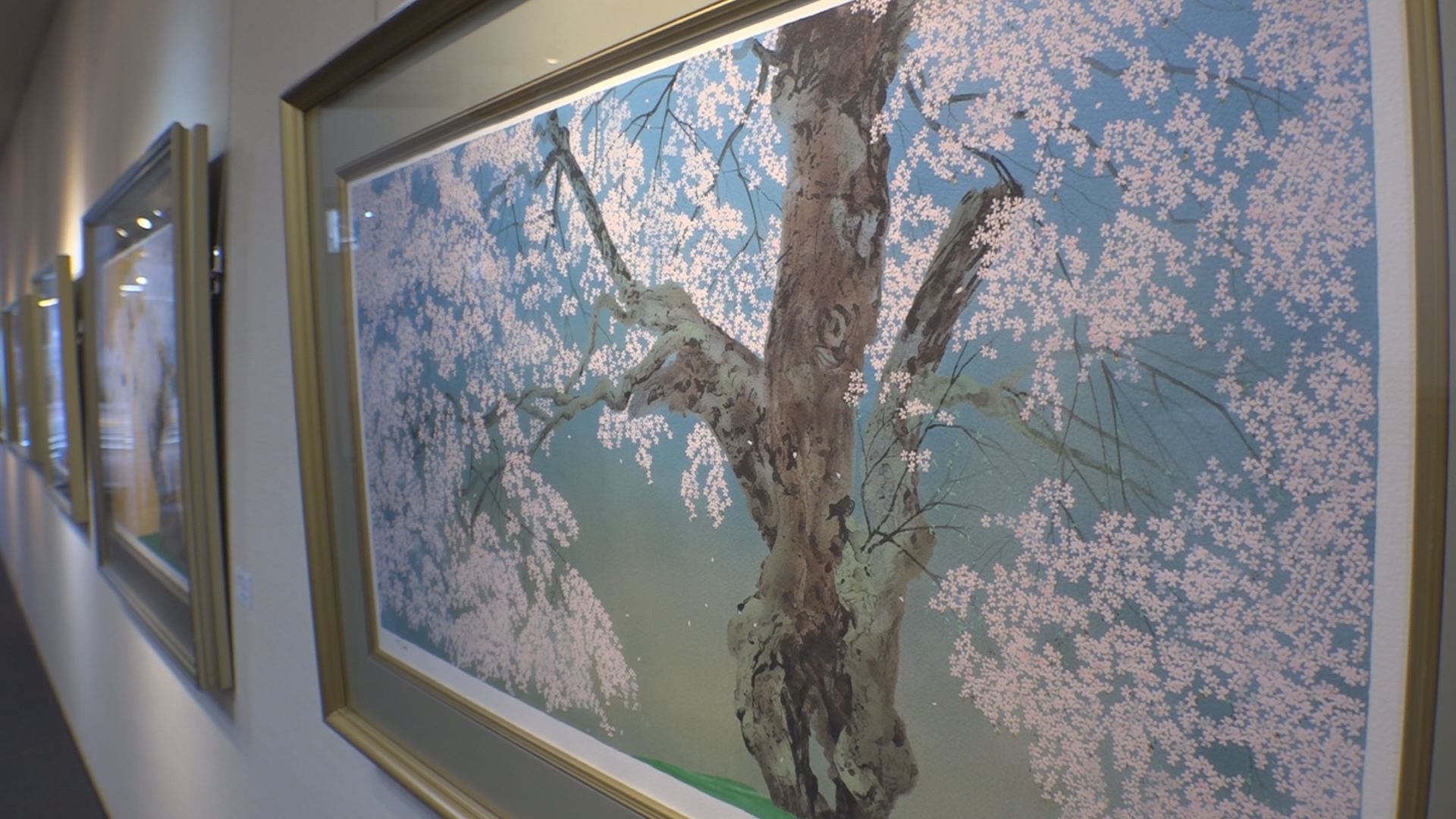 1000年桜の生命力 日本画家・中島千波さん作品展