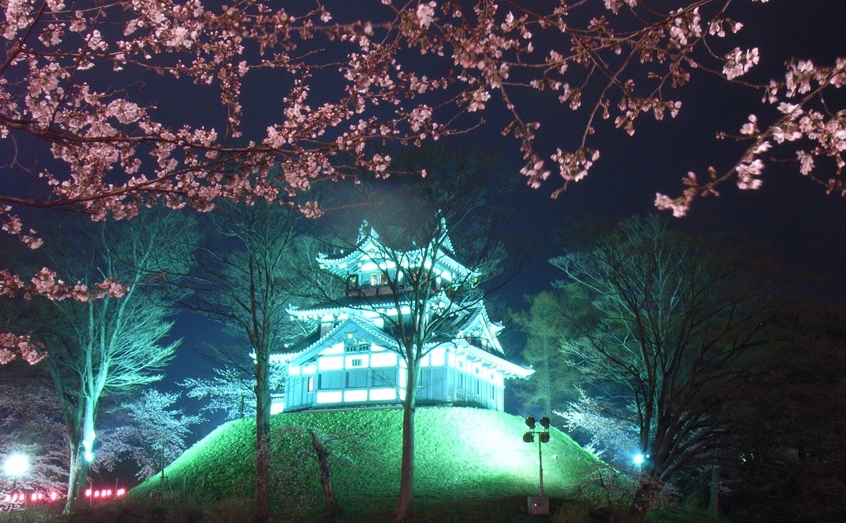 「高田城址公園 観桜会」大幅縮小し開催へ