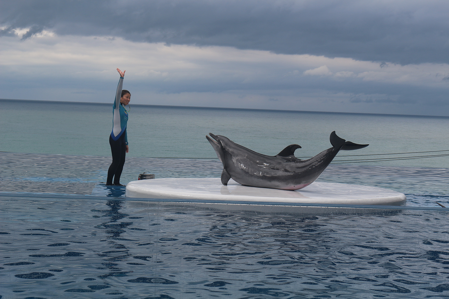 うみがたりコロナ感染防止対策  開館時間変更･プログラム休止