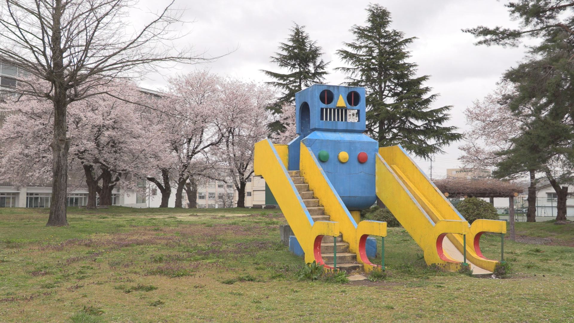 サクラ散り始め ロボット公園