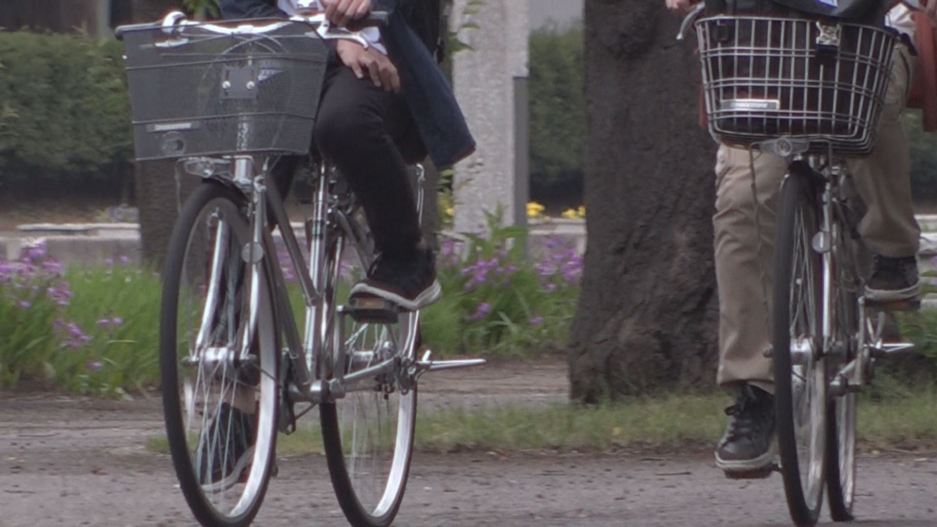 高田地区で7月からレンタサイクル実証実験  1事業者を募集