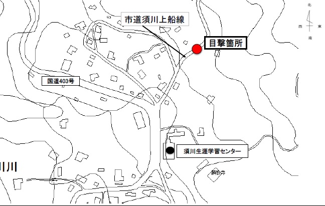 クマの目撃情報[上越市]