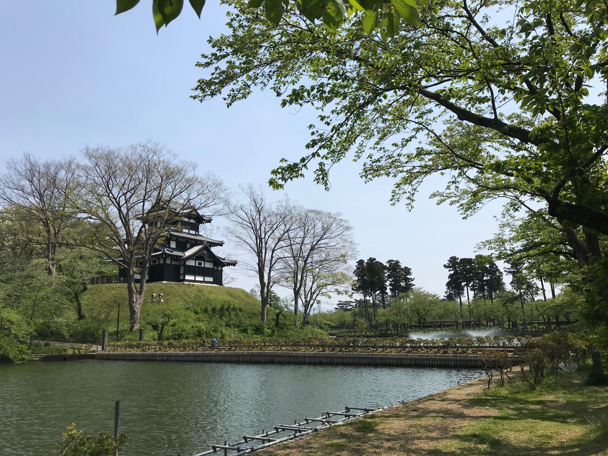高田や関山 25℃超える夏日